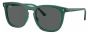 RAY-BAN RB2210 6615B1 53