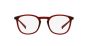 ARNETTE AN7151 2540 48 BANJO