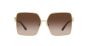 DOLCE & GABBANA DG2279 02/13 60