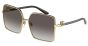 DOLCE & GABBANA DG2279 02/8G 60