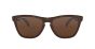 OAKLEY SUN OO9013 C5 55 FROGSKINS