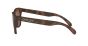 OAKLEY SUN OO9013 C5 55 FROGSKINS