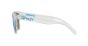 OAKLEY SUN OO9013 D0 55 FROGSKINS