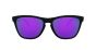 OAKLEY SUN OO9013 H6 55 FROGSKINS