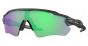 OAKLEY SUN OO9208 A1 38 RADAR EV PATH