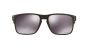 OAKLEY SUN OO9384 04 57 HOLBROOK MIX