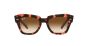 RAY-BAN RB2186 133451 49 STATE STREET