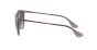 RAY-BAN RB4171 65138G 54 ERIKA