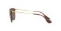 RAY-BAN RB4171 6593T5 54 ERIKA
