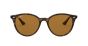 RAY-BAN RB4305 710/83 53