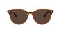 RAY-BAN RB4305 820/73 53