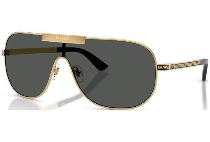 VERSACE VE2293 100287 40
